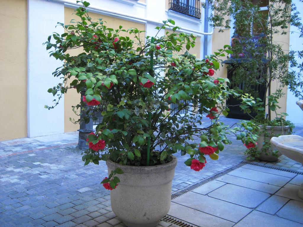 Hostal Huespedes Toledo Madri Exterior foto